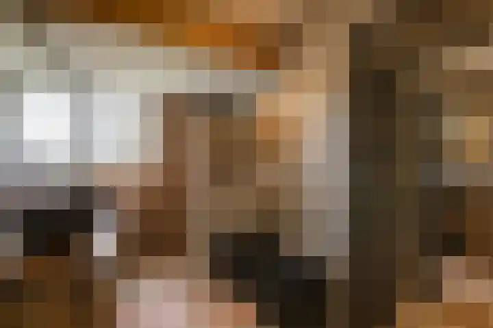 Vlielandlaan 15 Duiven thumbnail 34