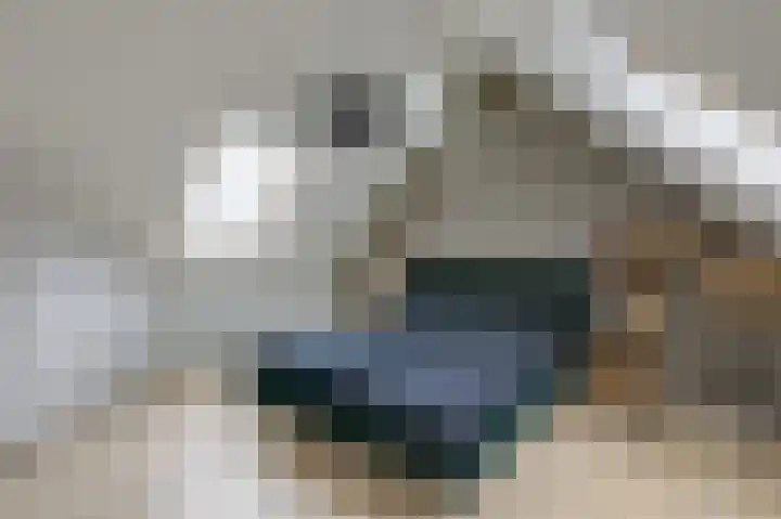 Vlielandlaan 15 Duiven thumbnail 4