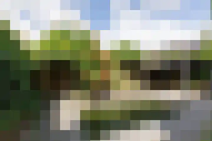 Vlielandlaan 15 Duiven thumbnail 42