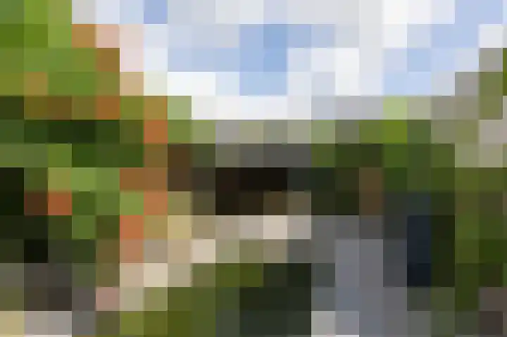 Vlielandlaan 15 Duiven thumbnail 43