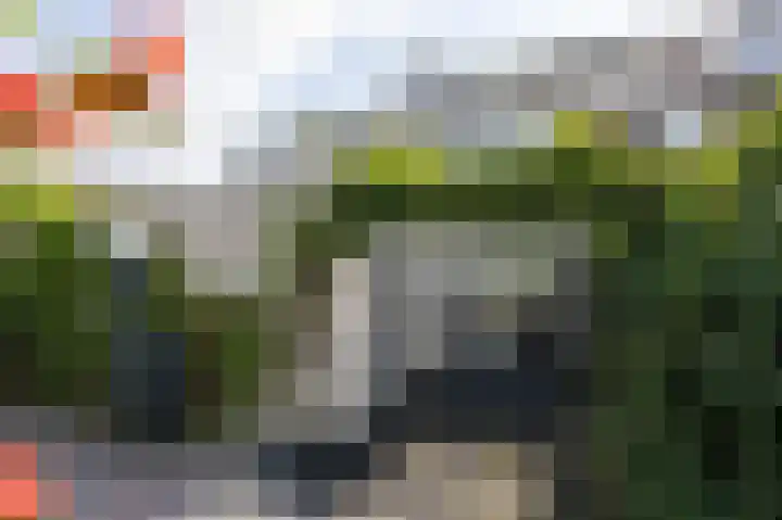 Vlielandlaan 15 Duiven thumbnail 45