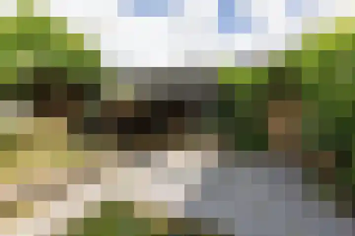 Vlielandlaan 15 Duiven thumbnail 46