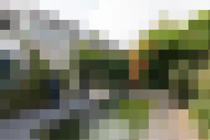 Vlielandlaan 15 Duiven thumbnail 47