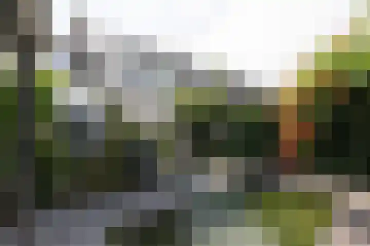 Vlielandlaan 15 Duiven thumbnail 48
