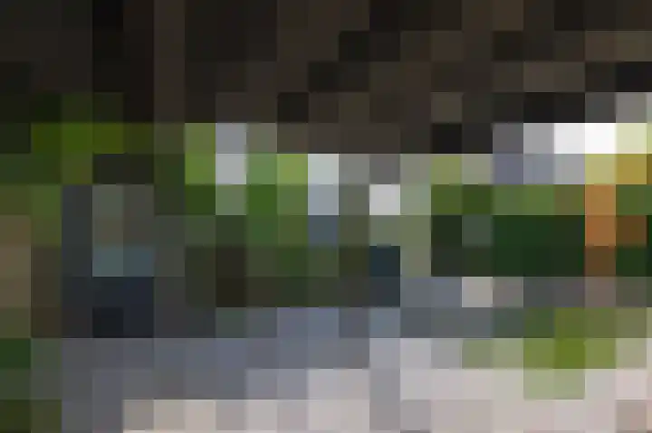 Vlielandlaan 15 Duiven thumbnail 49