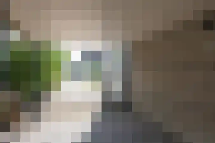 Vlielandlaan 15 Duiven thumbnail 5