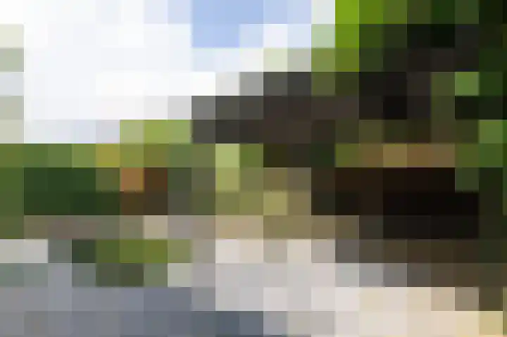 Vlielandlaan 15 Duiven thumbnail 50