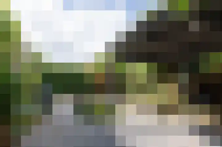 Vlielandlaan 15 Duiven thumbnail 51