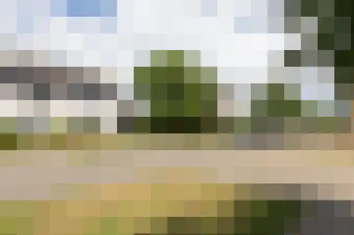 Vlielandlaan 15 Duiven thumbnail 58