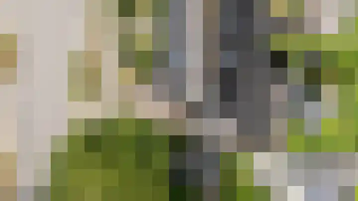 Vlielandlaan 15 Duiven thumbnail 61