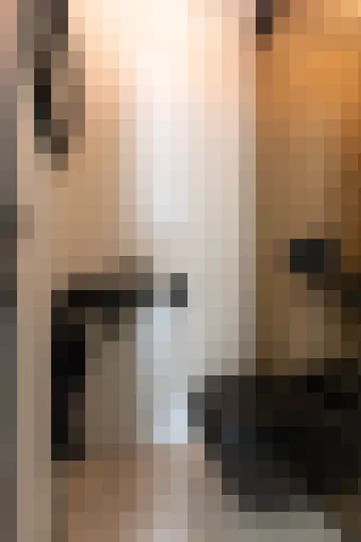 Vlielandlaan 15 Duiven thumbnail 8