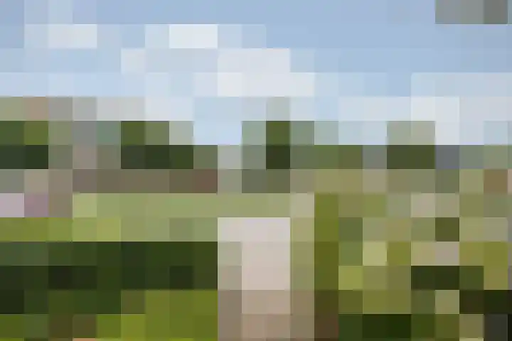 Vlielandlaan 17 Duiven thumbnail 10