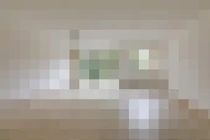 Vlielandlaan 17 Duiven thumbnail 15