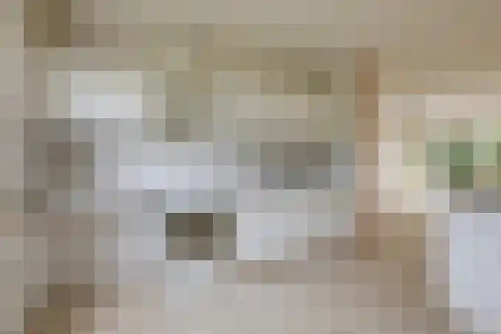 Vlielandlaan 17 Duiven thumbnail 19