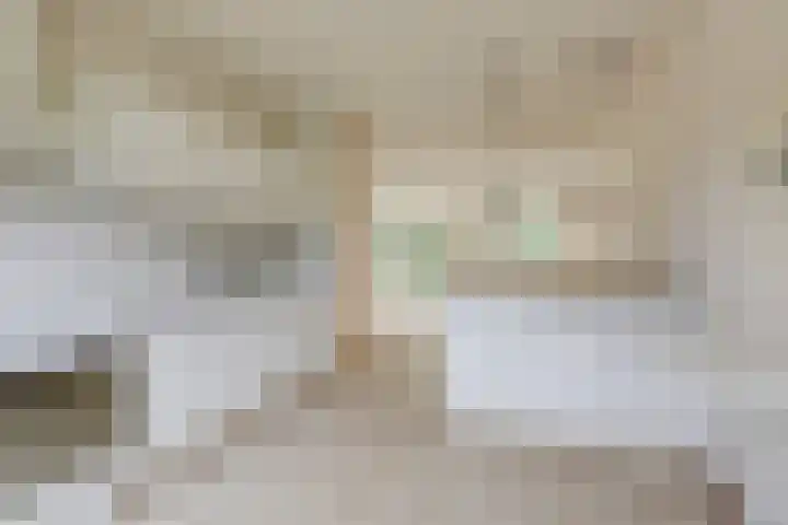 Vlielandlaan 17 Duiven thumbnail 20