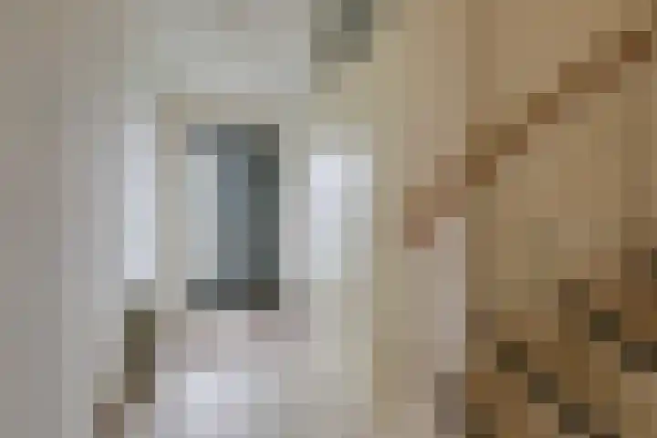 Vlielandlaan 17 Duiven thumbnail 22