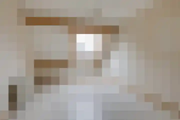 Vlielandlaan 17 Duiven thumbnail 23