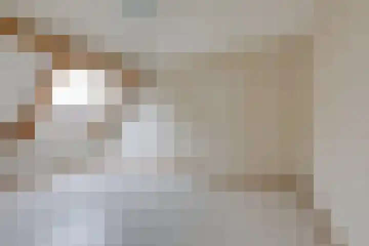 Vlielandlaan 17 Duiven thumbnail 24
