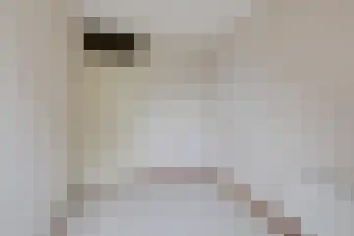 Vlielandlaan 17 Duiven thumbnail 28