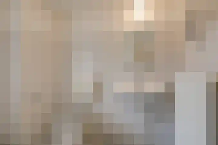 Vlielandlaan 17 Duiven thumbnail 31