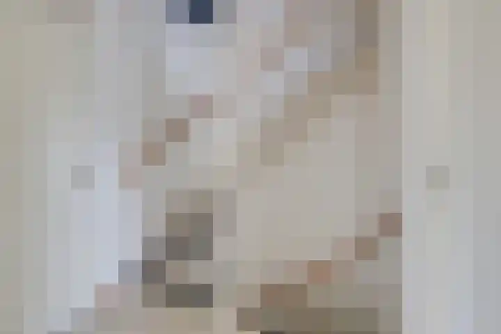 Vlielandlaan 17 Duiven thumbnail 32