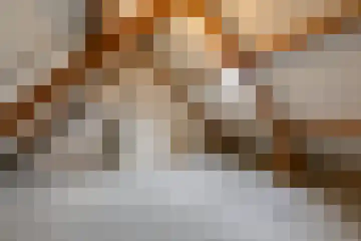 Vlielandlaan 17 Duiven thumbnail 34