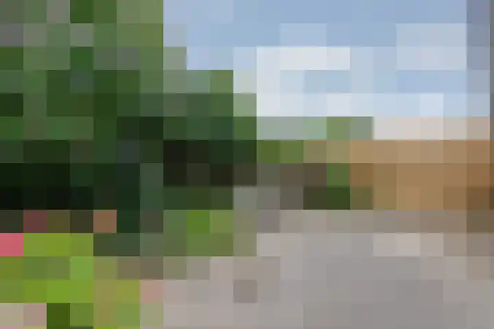 Vlielandlaan 17 Duiven thumbnail 36