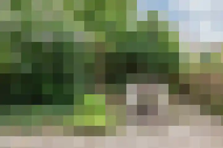 Vlielandlaan 17 Duiven thumbnail 37