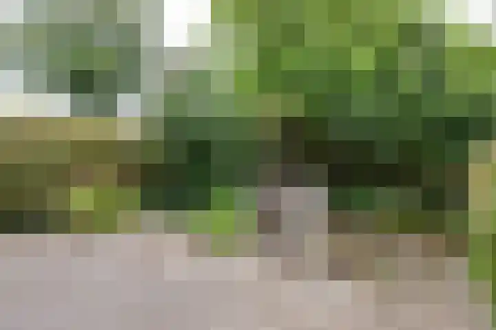 Vlielandlaan 17 Duiven thumbnail 4