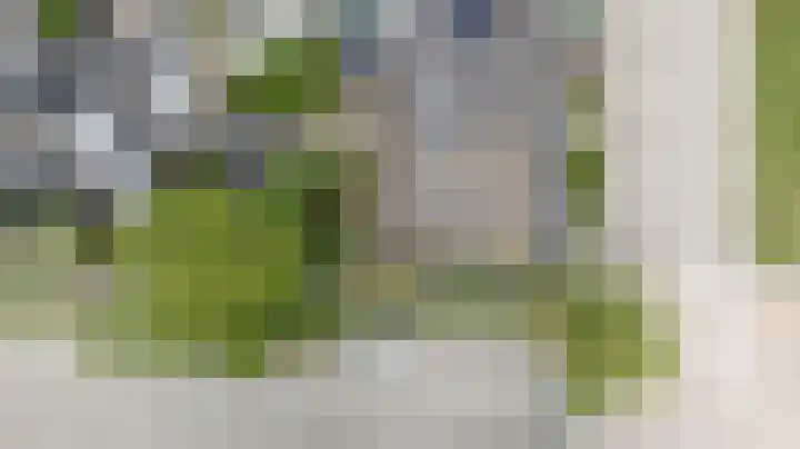 Vlielandlaan 17 Duiven thumbnail 41