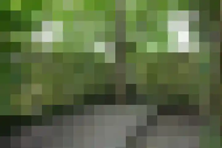 Vlielandlaan 17 Duiven thumbnail 42