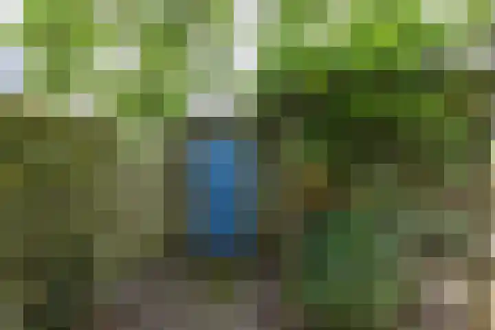 Vlielandlaan 17 Duiven thumbnail 43