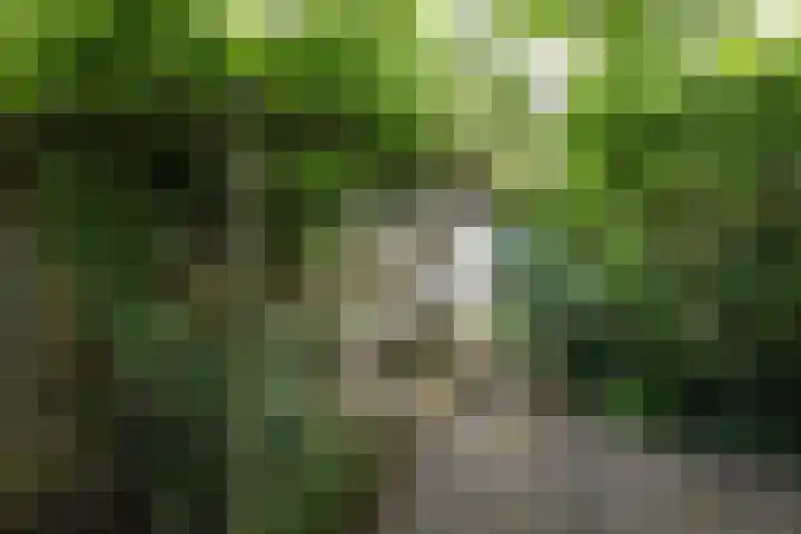 Vlielandlaan 17 Duiven thumbnail 44