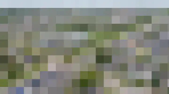 Vlielandlaan 17 Duiven thumbnail 49