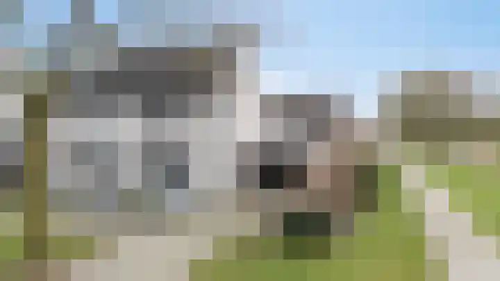 Vlielandlaan 2 Duiven