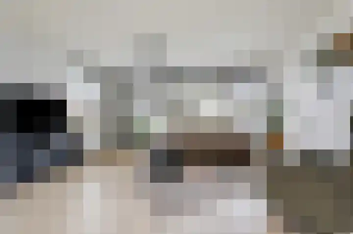 Vlielandlaan 2 Duiven thumbnail 11