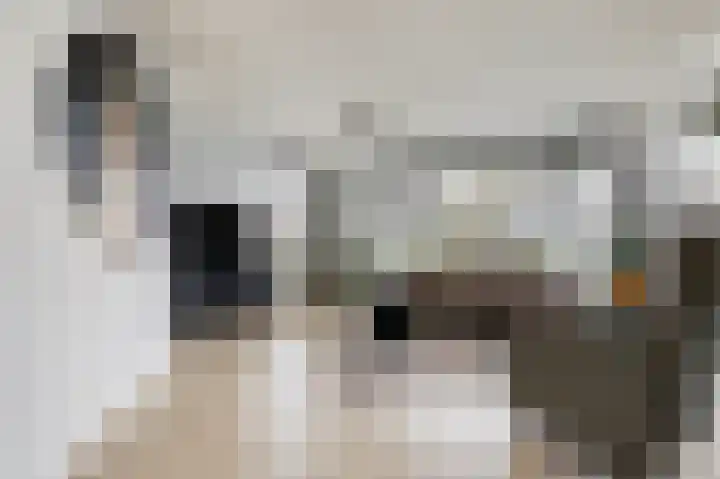 Vlielandlaan 2 Duiven thumbnail 12
