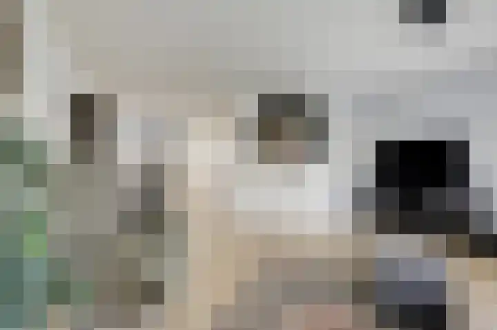 Vlielandlaan 2 Duiven thumbnail 14