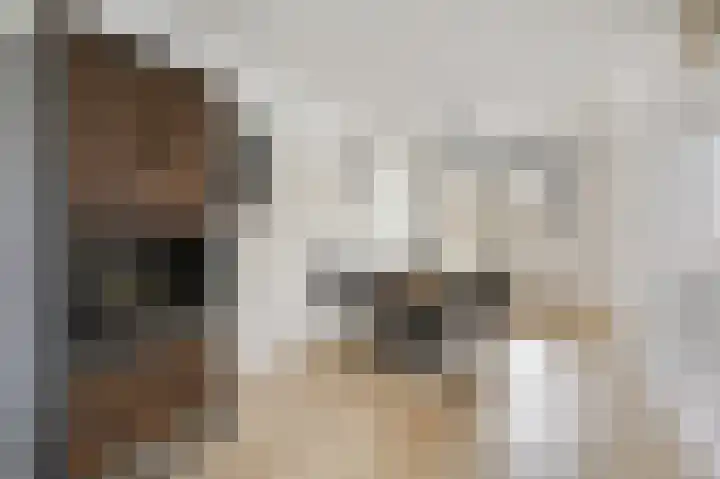Vlielandlaan 2 Duiven thumbnail 15