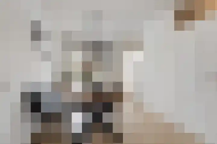 Vlielandlaan 2 Duiven thumbnail 16