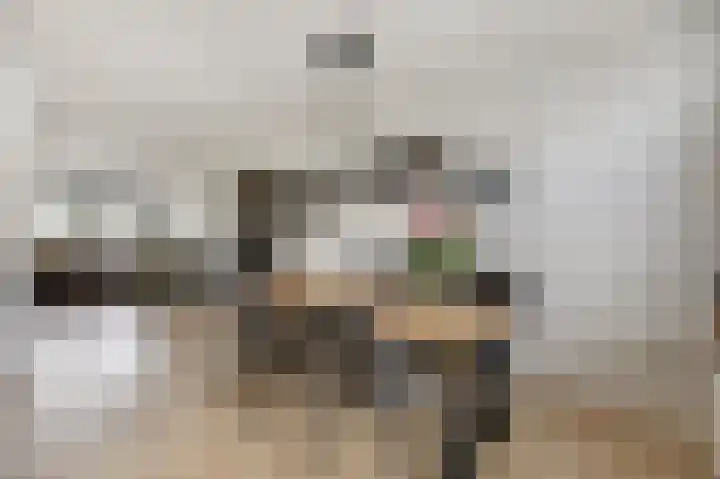 Vlielandlaan 2 Duiven thumbnail 17