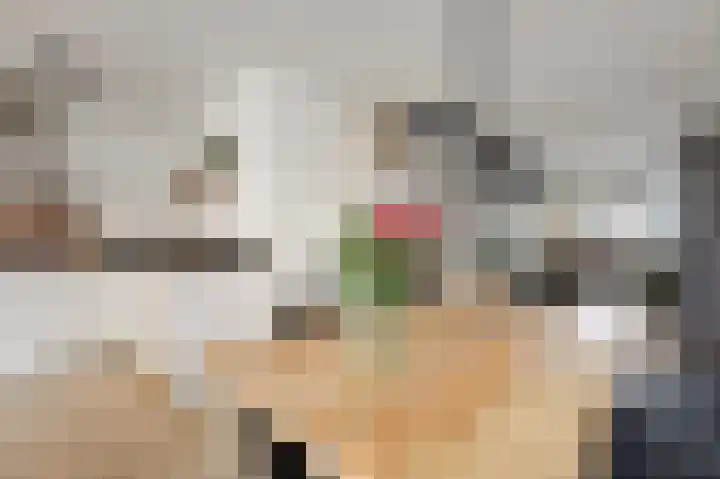 Vlielandlaan 2 Duiven thumbnail 18