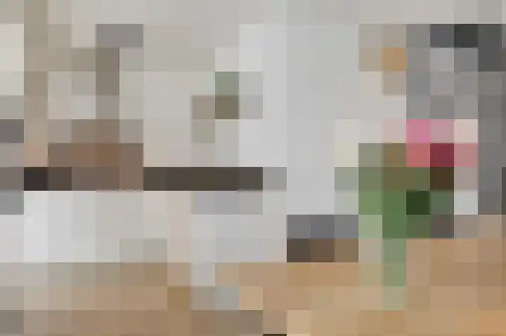 Vlielandlaan 2 Duiven thumbnail 19