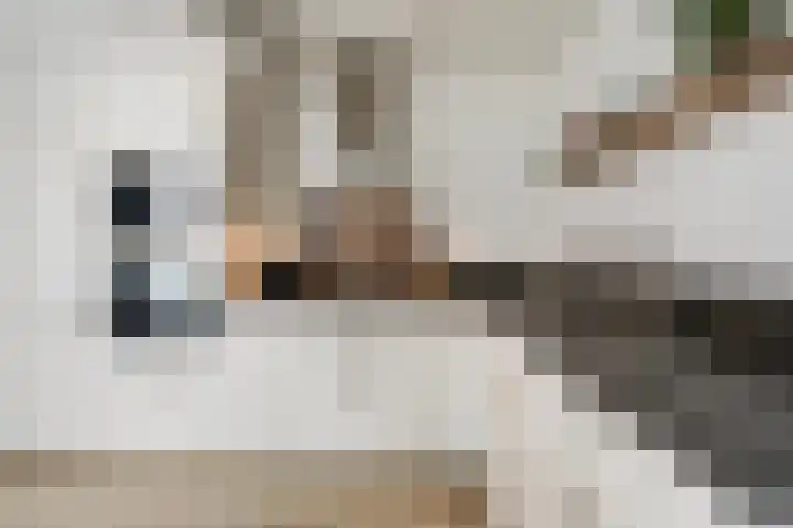 Vlielandlaan 2 Duiven thumbnail 20