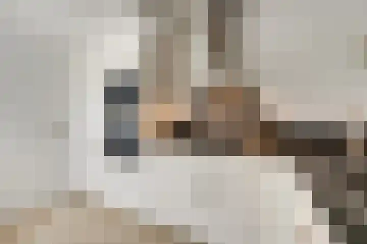 Vlielandlaan 2 Duiven thumbnail 21