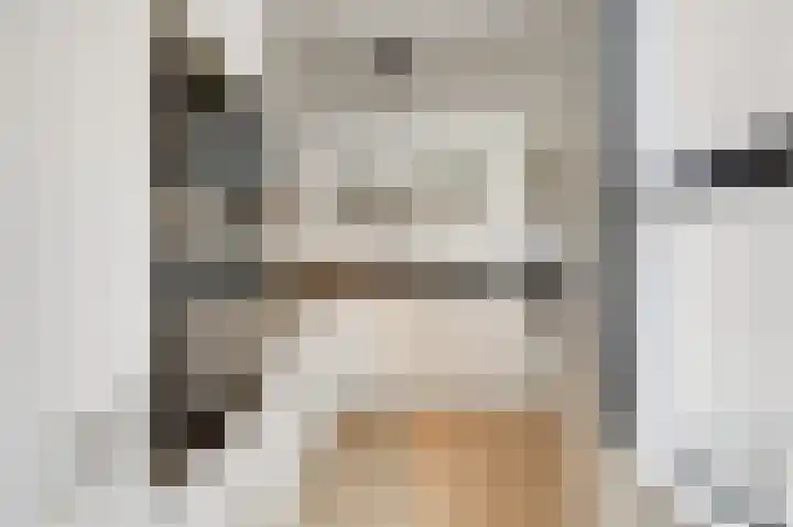 Vlielandlaan 2 Duiven thumbnail 22