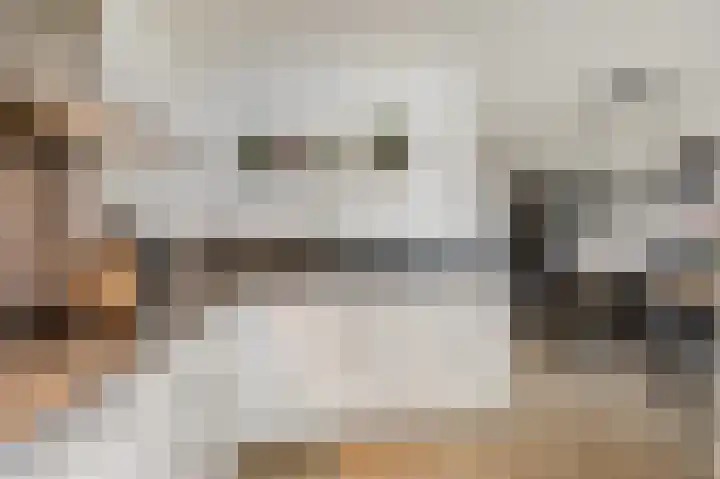 Vlielandlaan 2 Duiven thumbnail 23