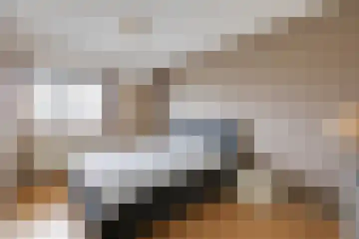 Vlielandlaan 2 Duiven thumbnail 29