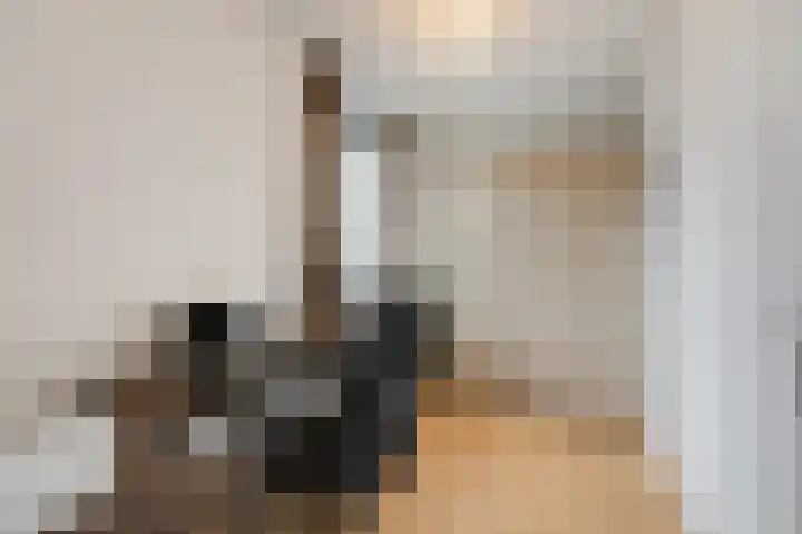 Vlielandlaan 2 Duiven thumbnail 32