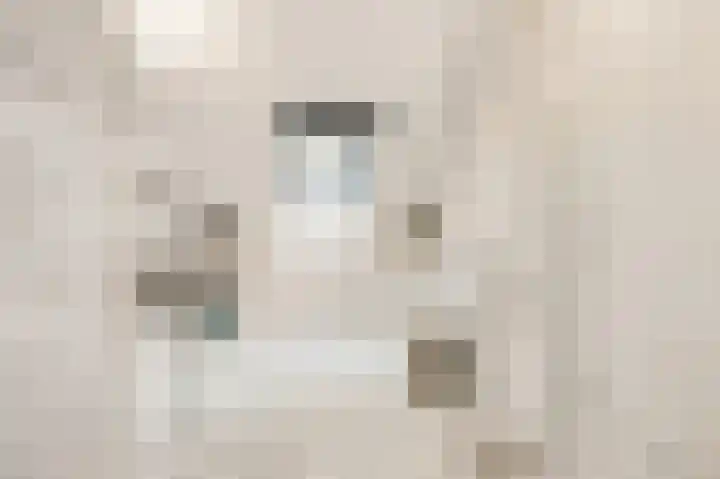 Vlielandlaan 2 Duiven thumbnail 35